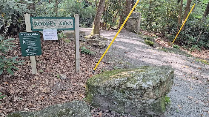 Montreat Campground Picture 4