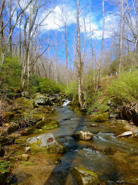 Creekside Mountain Camping Picture 5