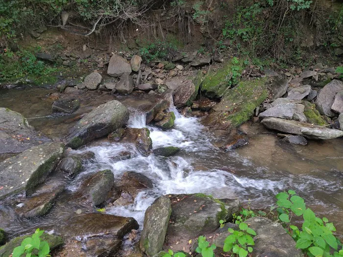 Creekside Mountain Camping Picture 7