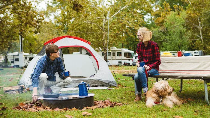 Asheville East KOA Holiday Picture 5