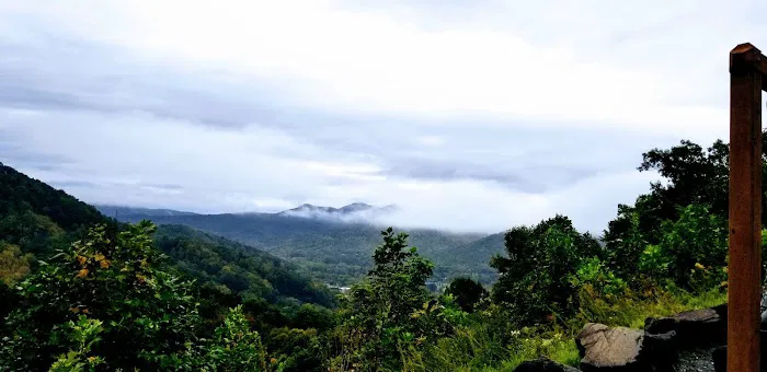 Mama Gertie's Hideaway Campground Picture 1