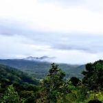 Mama Gertie's Hideaway Campground