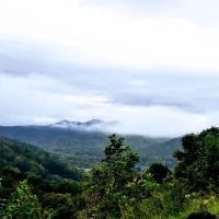 Mama Gertie's Hideaway Campground ico