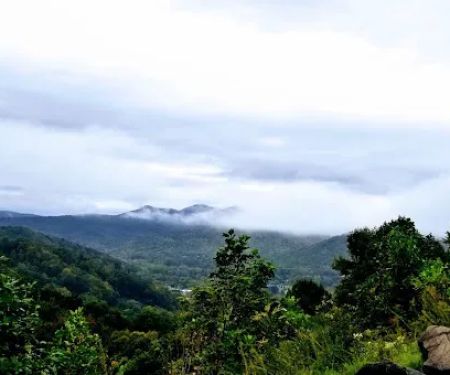 Mama Gertie's Hideaway Campground