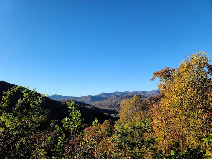 Mama Gertie's Hideaway Campground Picture 7