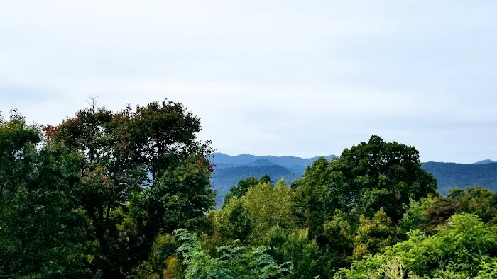 Mama Gertie's Hideaway Campground Picture 6