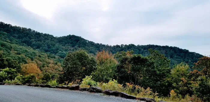 Mama Gertie's Hideaway Campground Picture 4