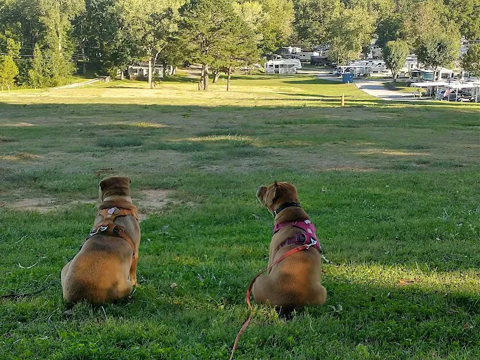 Jaymar Travel Park Picture 8