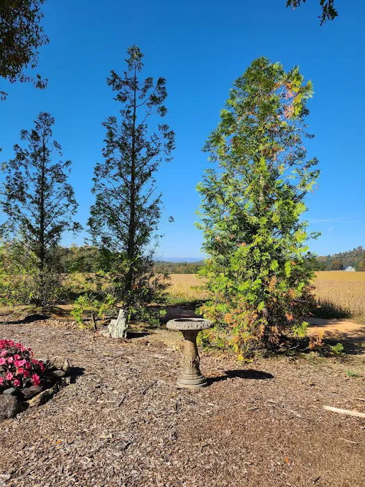 Jaymar Travel Park Picture 9