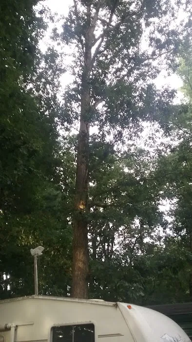 Apple Valley Travel Park Picture 5