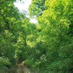 Evarts atv camp ground