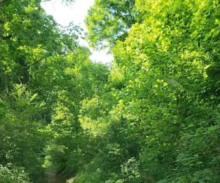 Evarts atv camp ground