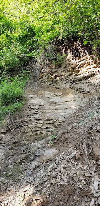 Evarts atv camp ground Picture 9