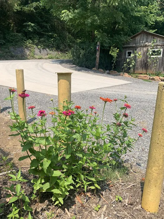 Clinch River Family Campground Picture 5