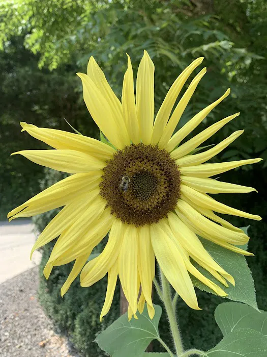 Clinch River Family Campground Picture 6