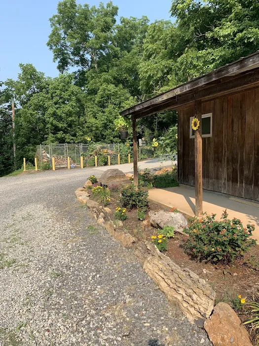 Clinch River Family Campground Picture 9