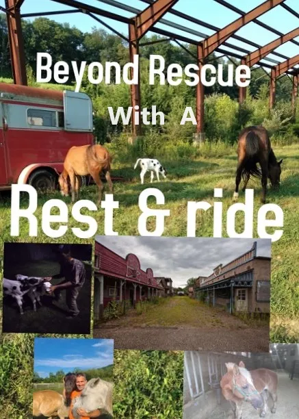 Rest&ride ranch Picture 4