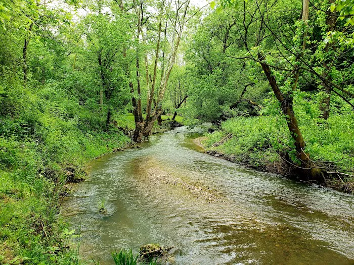 Out on the creek Rv park Picture 4