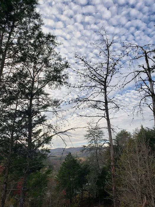 Out on the creek Rv park Picture 5