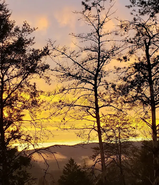 Out on the creek Rv park Picture 3