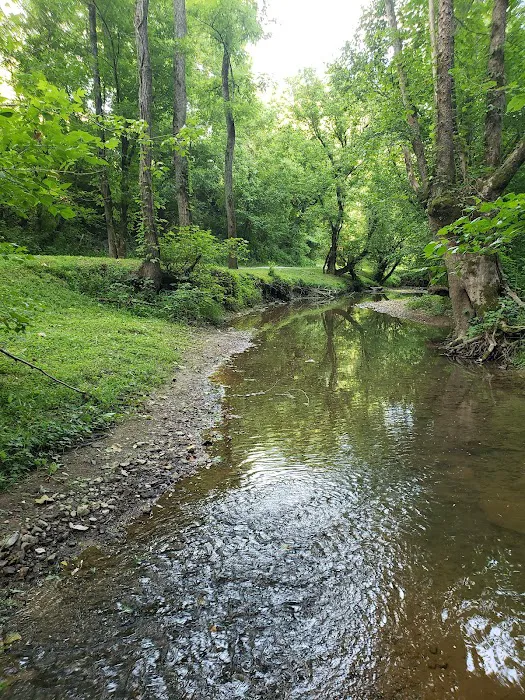 Out on the creek Rv park Picture 2