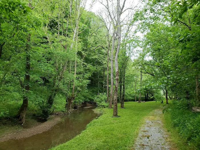 Out on the Creek Campground Picture 9