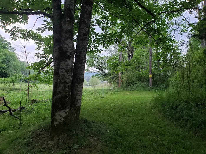 Out on the Creek Campground Picture 4