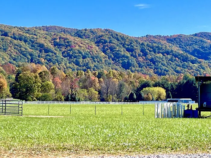 Grand View Ranch and RV Park Picture 1