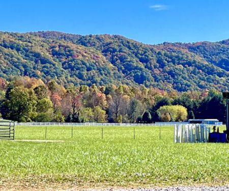 Grand View Ranch and RV Park