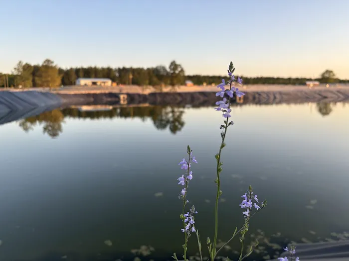 Standing Pines Campground and RV Resort Picture 1