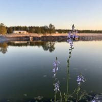 Standing Pines Campground and RV Resort ico