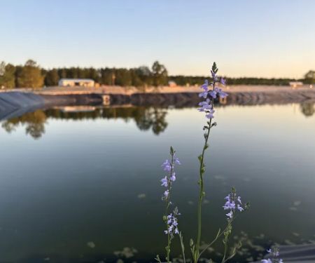 Standing Pines Campground and RV Resort