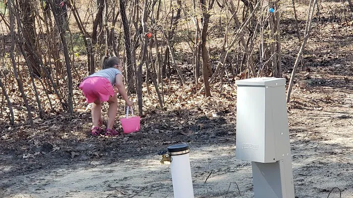 Fluffy's Family Campground Picture 6