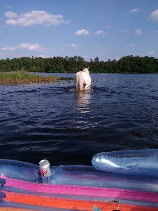 The Farm Campground Picture 10