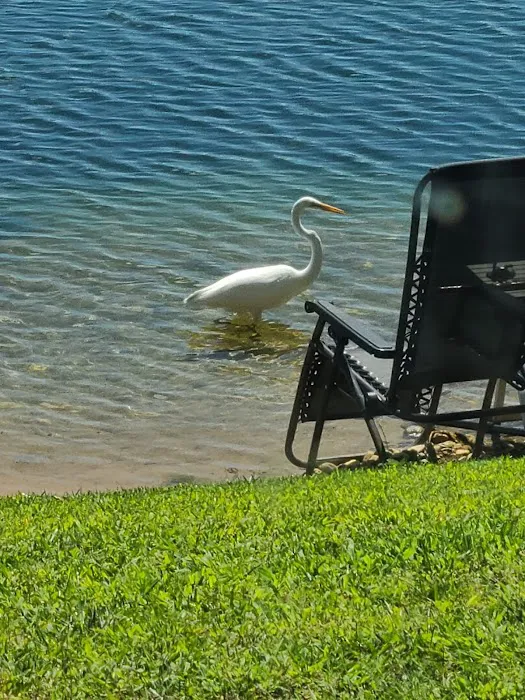 Eagle's Cove RV Resort Picture 10