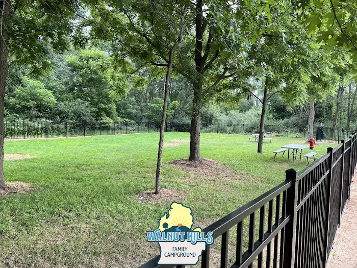 Walnut Hills Family Campground by GatherGrounds Picture 7