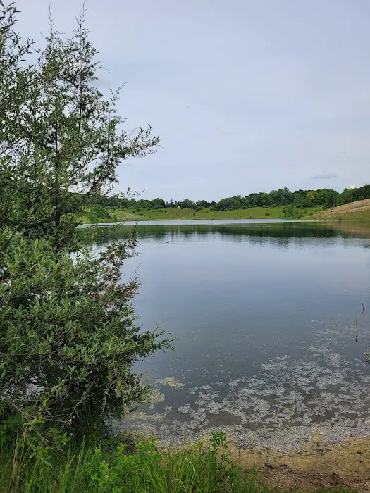 Sand Lake Campground Picture 6