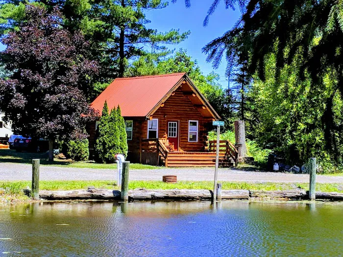 Pines cabin Picture 1