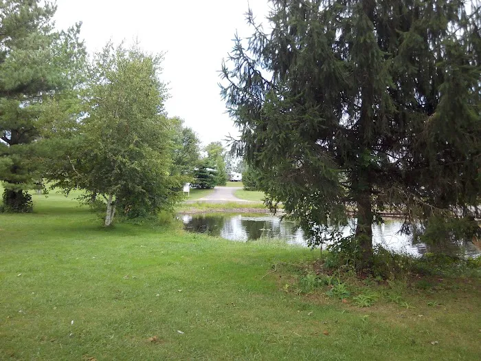 Pines cabin Picture 3