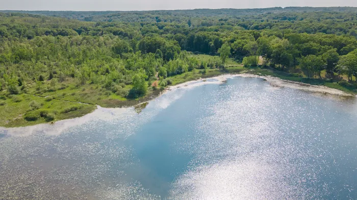 Pines cabin Picture 7