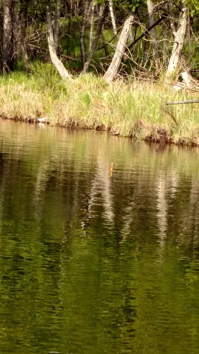 Horseshoe Lake Campground Picture 8