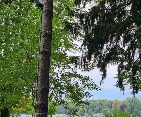 Trailside Campground