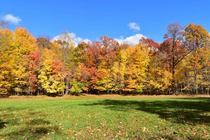 Eaton Rapids Holiness Campmeeting Picture 5