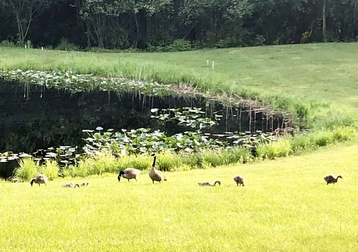 Oak Shores Resort Campground Picture 1