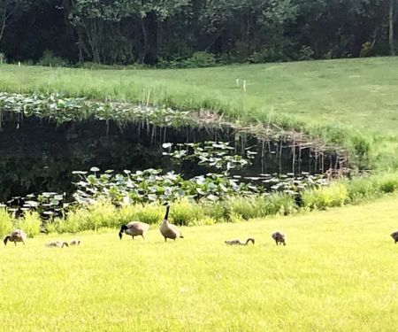 Oak Shores Resort Campground