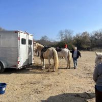 Fort Custer Equestrian Camp & Trailhead ico