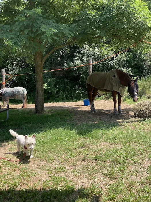 Fort Custer Equestrian Camp & Trailhead Picture 7