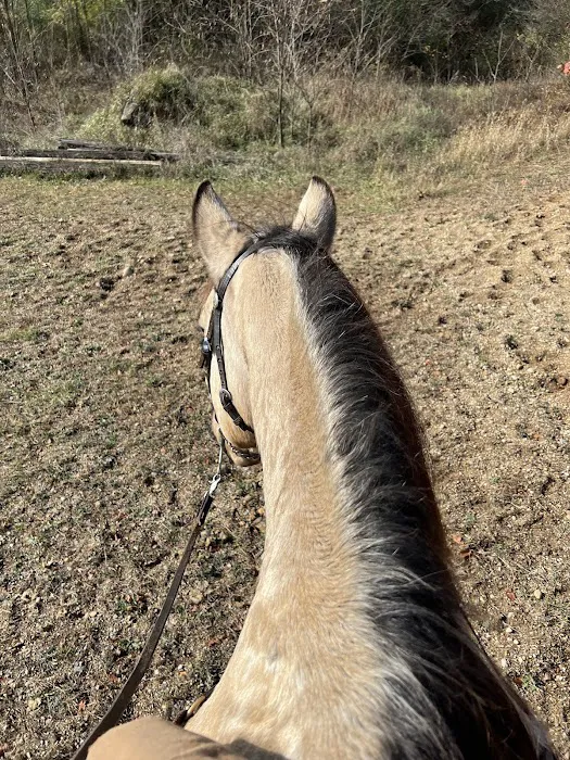 Fort Custer Equestrian Camp & Trailhead Picture 6