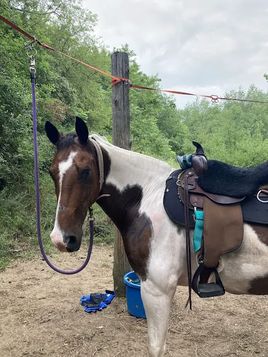 Fort Custer Equestrian Camp & Trailhead Picture 10