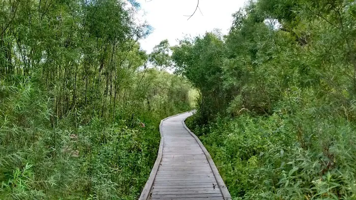 Cade Lake County Park & Campground Picture 7